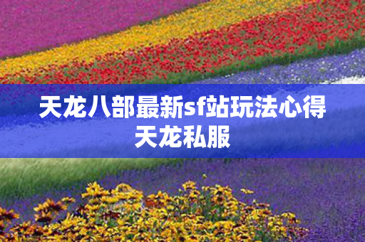 天龙八部最新sf站玩法心得天龙私服图片