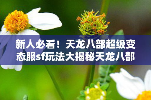 天龙八部超级变态服sf玩法大揭秘天龙八部私服图片