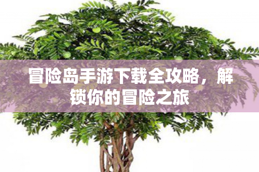 冒险岛手游下载全攻略图片