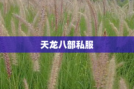 天龙八部私服图片