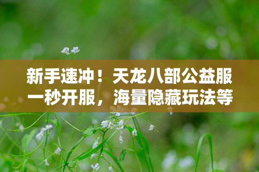 新手速冲!天龙八部公益服一秒开服,海量隐藏玩法等你探秘天龙八部私服 新手速冲!天龙八部公益服一秒开服,海量隐藏玩法等你探秘天龙八部私服