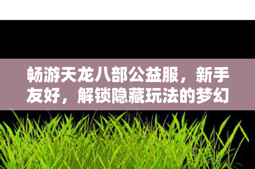 畅游天龙八部公益服，新手友好，解锁隐藏玩法的梦幻之旅天龙私服