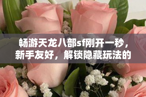 畅游天龙八部sf刚开一秒，新手友好，解锁隐藏玩法的奇妙之旅天龙八部私服