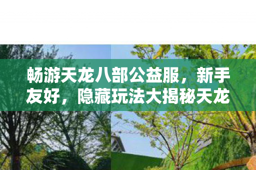 隐藏玩法大揭秘天龙八部私服图片