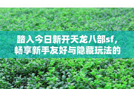 畅享新手友好与隐藏玩法的奇妙之旅天龙八部私服图片