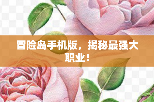 揭秘最强大职业图片