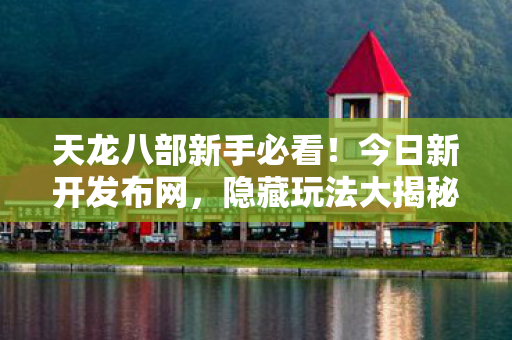 隐藏玩法大揭秘天龙私服图片