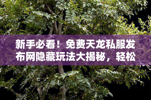 免费天龙私服发布网隐藏玩法大揭秘图片