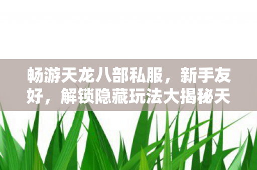 解锁隐藏玩法大揭秘天龙私服图片