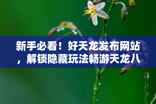 解锁隐藏玩法畅游天龙八部天龙八部私服图片