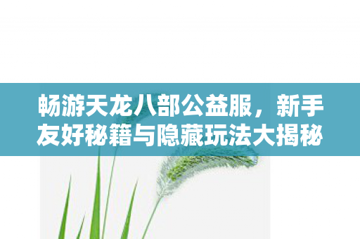 新手友好秘籍与隐藏玩法大揭秘天龙私服图片
