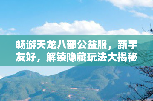 解锁隐藏玩法大揭秘天龙私服图片