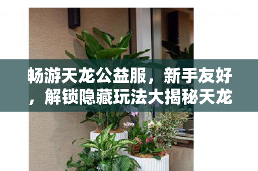 解锁隐藏玩法大揭秘天龙八部私服图片