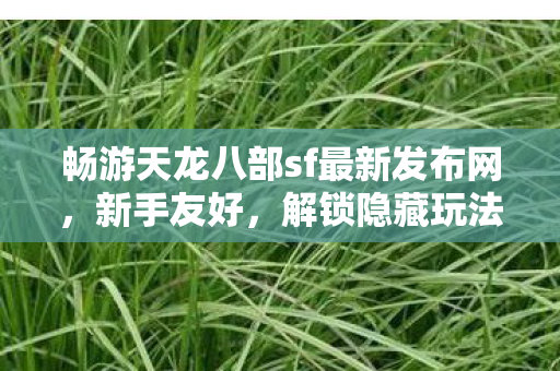 畅游天龙八部sf最新发布网图片
