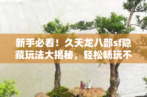 久天龙八部sf隐藏玩法大揭秘图片