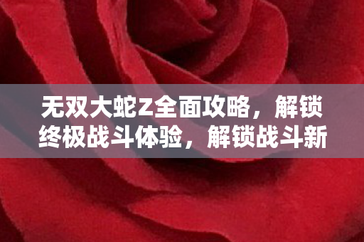 无双大蛇Z全面攻略图片