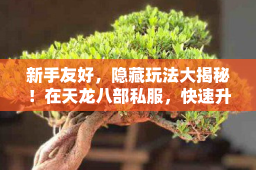 快速升级成大佬的秘诀图片
