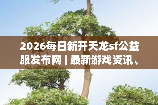 2026每日新开天龙sf公益服发布网图片
