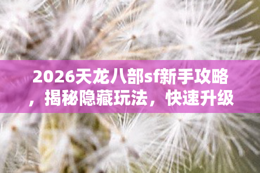 2026天龙八部sf新手攻略图片