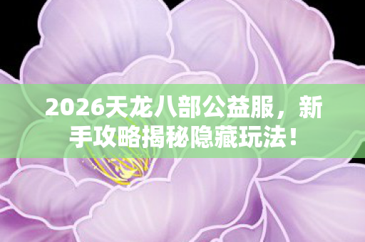 2026天龙八部公益服图片