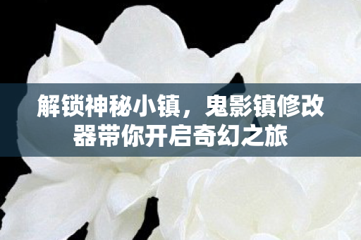 鬼影镇修改器带你开启奇幻之旅图片