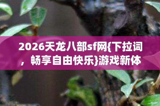 2026天龙八部sf网图片