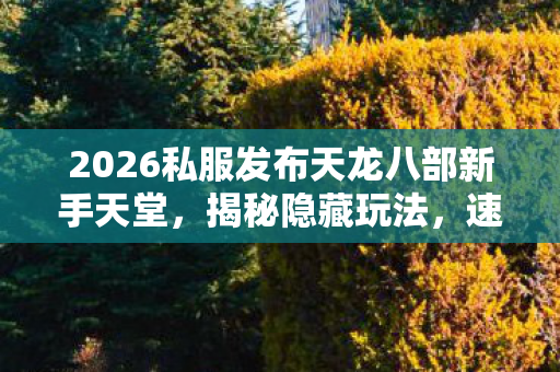 2026私服发布天龙八部新手天堂图片