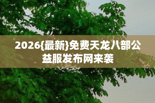 免费天龙八部公益服发布网来袭图片