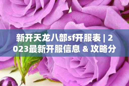 新开天龙八部sf开服表图片