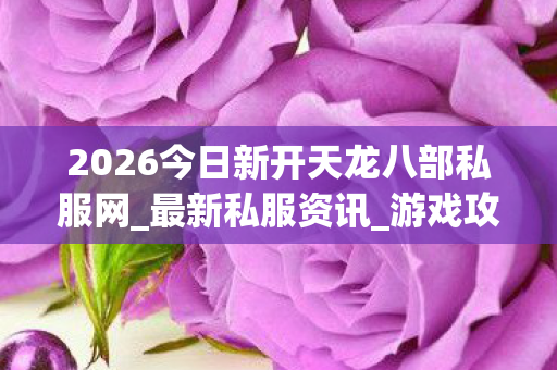 2026今日新开天龙八部私服网图片