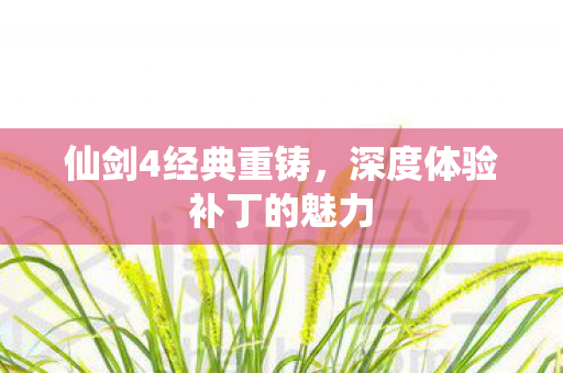深度体验补丁的魅力图片