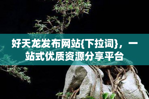 一站式优质资源分享平台图片
