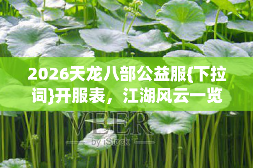 2026天龙八部公益服图片