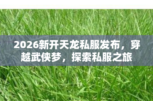 2026新开天龙私服发布图片