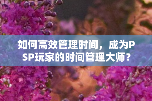 成为PSP玩家的时间管理大师图片