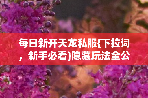 每日新开天龙私服图片