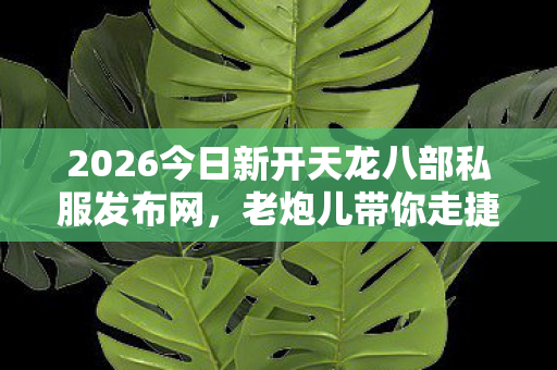 2026今日新开天龙八部私服发布网图片