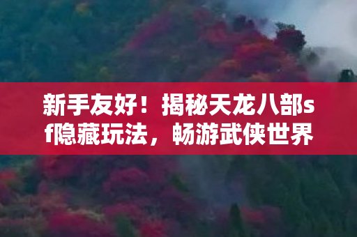 揭秘天龙八部sf隐藏玩法图片