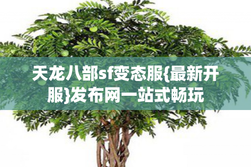 天龙八部sf变态服图片