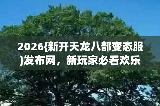 新开天龙八部变态服图片