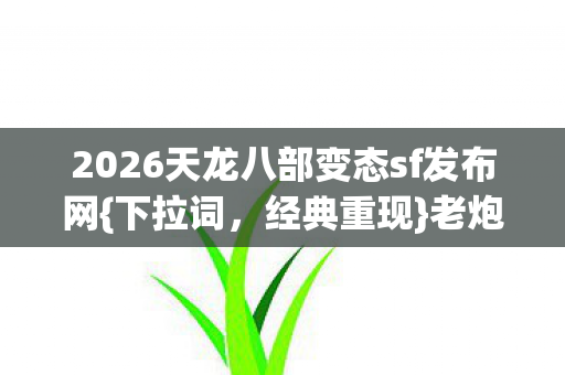 2026天龙八部变态sf发布网图片
