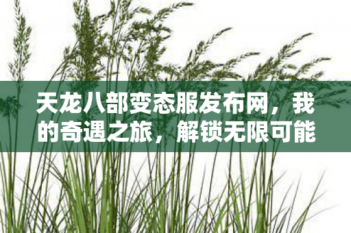 天龙八部变态服发布网图片