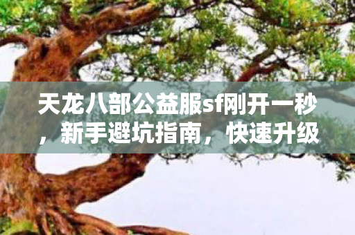 天龙八部公益服sf刚开一秒图片