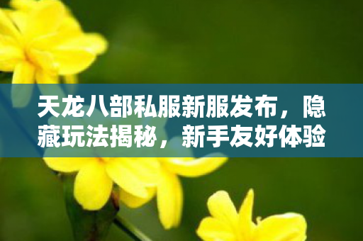 天龙八部私服新服发布图片
