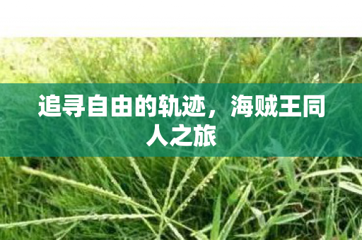 追寻自由的轨迹图片