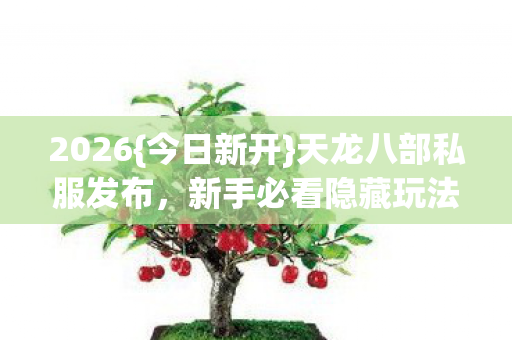 天龙八部私服发布图片