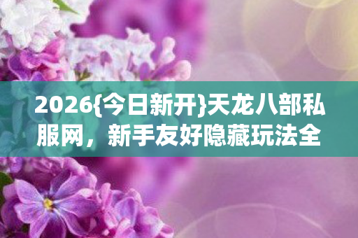 新手友好隐藏玩法全公开图片