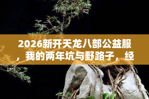 2026新开天龙八部公益服图片