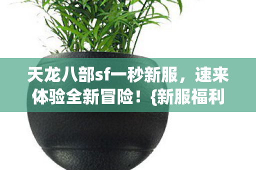 天龙八部sf一秒新服图片