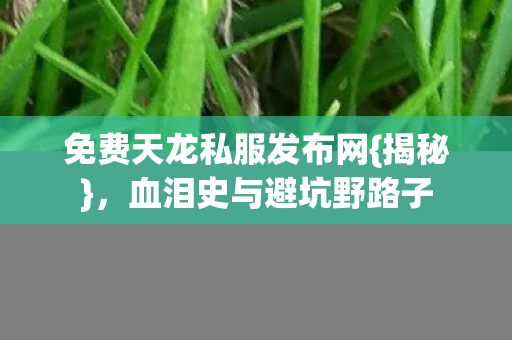 免费天龙私服发布网图片